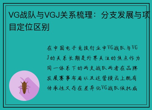 VG战队与VGJ关系梳理：分支发展与项目定位区别